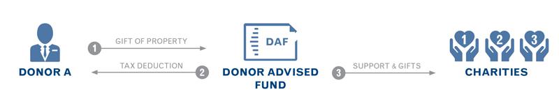 Donor Advised Fund InfoGraphic