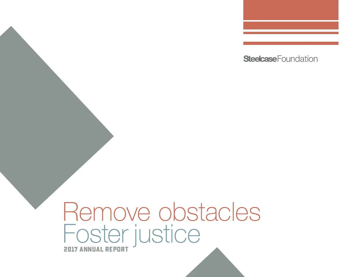 Read more about the article 2017 Annual Report