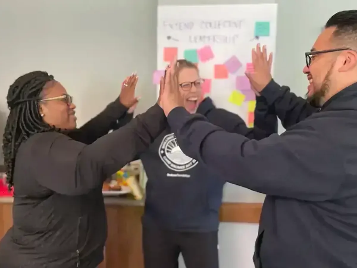 Brilliant Leaders 12